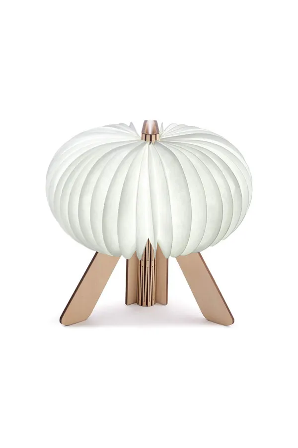 G002WT--R-SPACE-LAMP---foldable-LED-table-lamp.webp